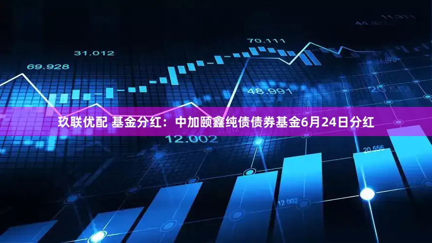玖联优配 基金分红：中加颐鑫纯债债券基金6月24日分红