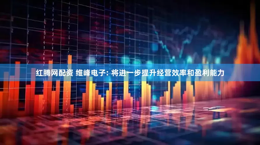 红腾网配资 维峰电子: 将进一步提升经营效率和盈利能力