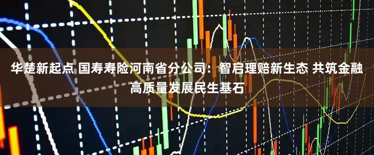 华楚新起点 国寿寿险河南省分公司：智启理赔新生态 共筑金融高质量发展民生基石