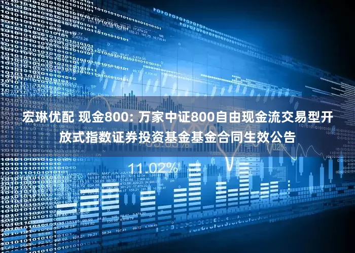 宏琳优配 现金800: 万家中证800自由现金流交易型开放式指数证券投资基金基金合同生效公告