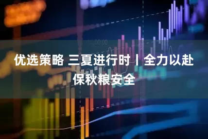 优选策略 三夏进行时丨全力以赴保秋粮安全
