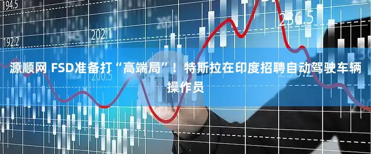 源顺网 FSD准备打“高端局”！特斯拉在印度招聘自动驾驶车辆操作员